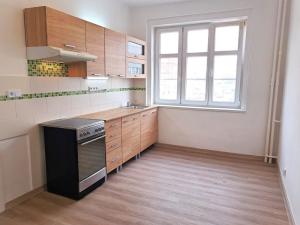 Prodej bytu 1+1, Teplice, Masarykova třída, 50 m2