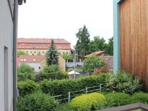 Pronájem bytu 1+kk, Dobříš, U Pivovaru, 30 m2
