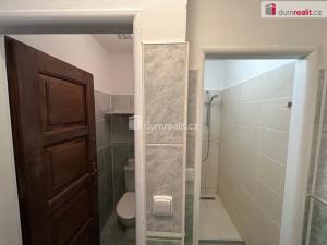 Pronájem bytu 1+1, Kolín - Kolín I, Karoliny Světlé, 55 m2