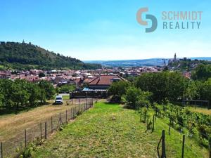 Prodej sadu/vinice, Mikulov, M. Majerové, 1610 m2