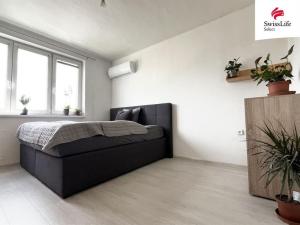 Pronájem bytu 2+1, Křečhoř, 59 m2