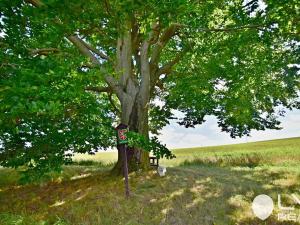 Prodej rodinného domu, Sázava, 210 m2
