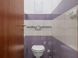 Prodej bytu 2+kk, Jesenice, Cedrová, 66 m2