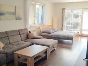 Pronájem bytu 1+kk, Hradec Králové - Nový Hradec Králové, Pod Zámečkem, 50 m2