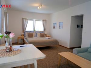Pronájem bytu 1+kk, Hradec Králové - Nový Hradec Králové, Pod Zámečkem, 40 m2