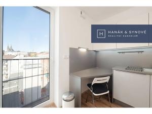 Pronájem bytu 1+kk, Brno, Křenová, 20 m2