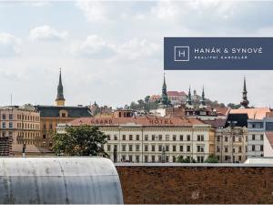 Pronájem bytu 1+kk, Brno, Křenová, 20 m2
