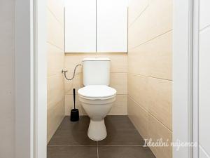 Pronájem bytu 2+1, Praha - Vršovice, náměstí Svatopluka Čecha, 58 m2