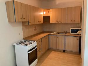 Pronájem bytu 1+1, Chomutov, Hutnická, 42 m2