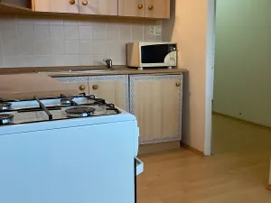 Pronájem bytu 1+1, Chomutov, Hutnická, 42 m2