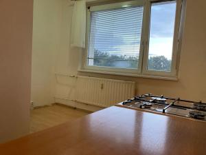Pronájem bytu 1+1, Chomutov, Hutnická, 42 m2