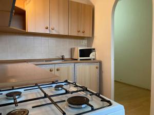 Pronájem bytu 1+1, Chomutov, Hutnická, 42 m2