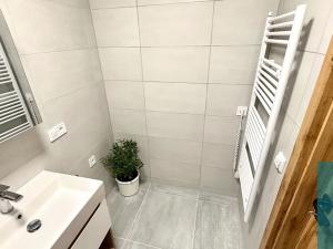 Pronájem bytu 2+kk, Zdounky, Nádražní, 60 m2