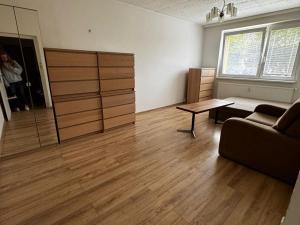 Pronájem bytu 1+1, Jirkov, Alešova, 40 m2