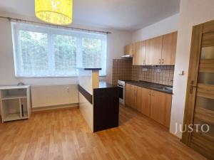 Pronájem bytu 1+kk, Písek - Pražské Předměstí, Přemyslova, 27 m2