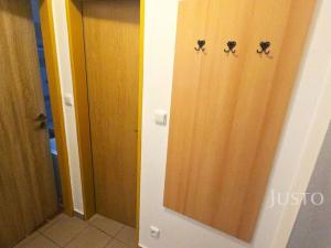 Pronájem bytu 1+kk, Písek - Pražské Předměstí, Přemyslova, 27 m2