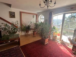 Prodej rodinného domu, Vranov, 242 m2