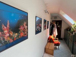 Prodej rodinného domu, Vranov, 242 m2