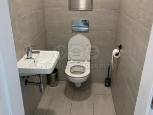 Pronájem bytu 3+kk, Praha - Vysočany, Strnadových, 87 m2
