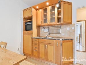 Pronájem bytu 1+kk, Střelice, Nebovidská, 28 m2