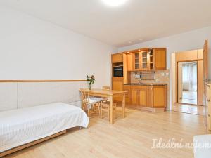 Pronájem bytu 1+kk, Střelice, Nebovidská, 28 m2
