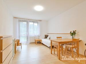 Pronájem bytu 1+kk, Střelice, Nebovidská, 28 m2
