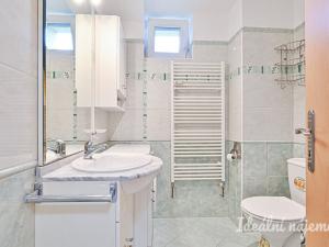 Pronájem bytu 1+kk, Střelice, Nebovidská, 28 m2