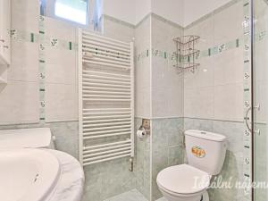 Pronájem bytu 1+kk, Střelice, Nebovidská, 28 m2