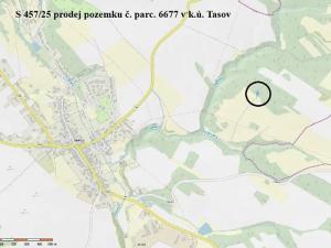Prodej lesa, Tasov, 625 m2