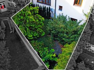 Prodej obchodního prostoru, Znojmo, Havlíčkova, 537 m2