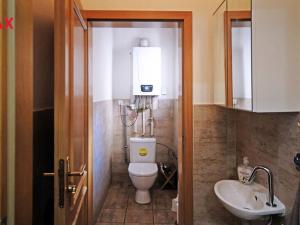 Prodej obchodního prostoru, Znojmo, Havlíčkova, 537 m2