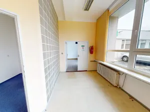 Pronájem obchodního prostoru, Ostrava, Jugoslávská, 99 m2