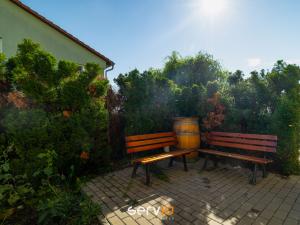 Pronájem bytu 1+kk, Moravany, 38 m2