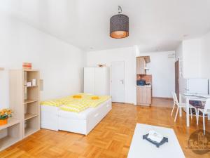 Pronájem bytu 1+kk, Praha - Nusle, Na Jezerce, 30 m2