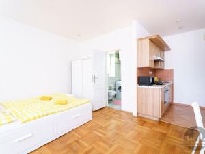 Pronájem bytu 1+kk, Praha - Nusle, Na Jezerce, 30 m2