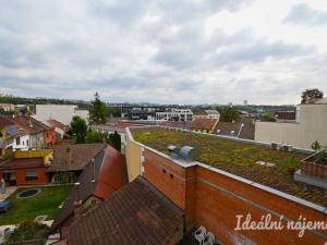 Pronájem bytu 2+kk, Brno, Rostislavovo náměstí, 39 m2
