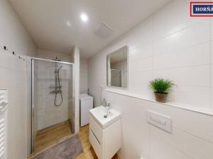 Pronájem bytu 1+kk, Brno - Královo Pole, Košinova, 35 m2