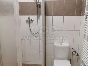 Pronájem bytu 1+kk, Dolní Kounice, nám. Míru, 25 m2