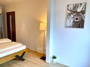 Pronájem bytu 2+kk, Praha - Žižkov, Olgy Havlové, 39 m2