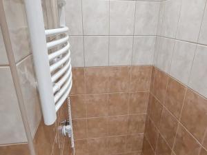 Pronájem bytu 2+1, Cheb, Přátelství, 60 m2