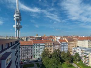 Prodej bytu 1+kk, Praha - Žižkov, Bořivojova, 17 m2