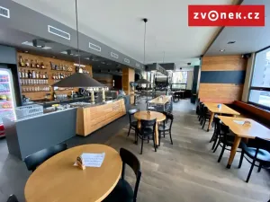 Prodej obchodního prostoru, Holešov, Novosady, 500 m2