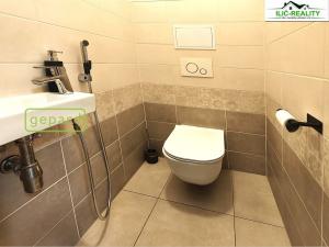 Pronájem bytu 3+kk, Vejprnice, Větrná, 75 m2