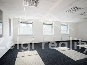 Pronájem kanceláře, Brno, 600 m2