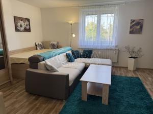 Pronájem bytu 1+1, Šenov u Nového Jičína, Anenská, 34 m2