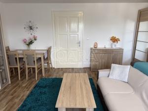Pronájem bytu 1+1, Šenov u Nového Jičína, Anenská, 34 m2