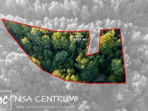 Prodej lesa, Nová Ves nad Nisou, 5031 m2