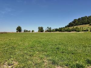 Prodej pozemku pro bydlení, Střemošice, 4400 m2