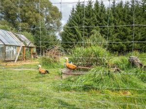 Prodej rodinného domu, Věšín - Buková, 80 m2