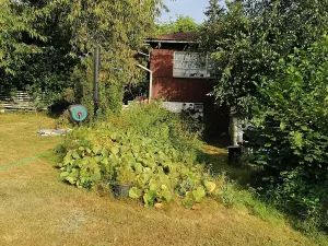 Prodej pozemku pro bydlení, Dobřany, 1205 m2